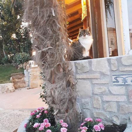 Perla Bed & Breakfast Gussago Dış mekan fotoğraf