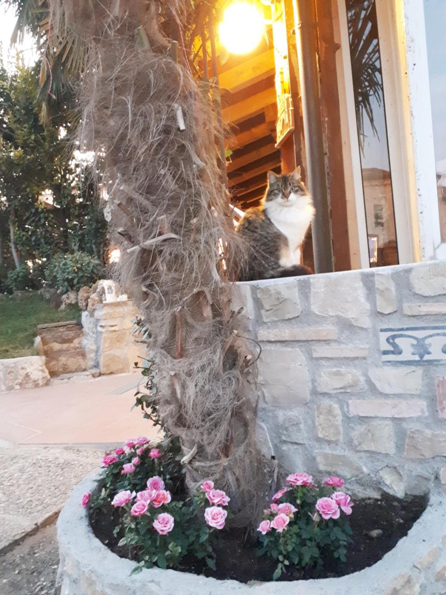 Perla Bed & Breakfast Gussago Dış mekan fotoğraf